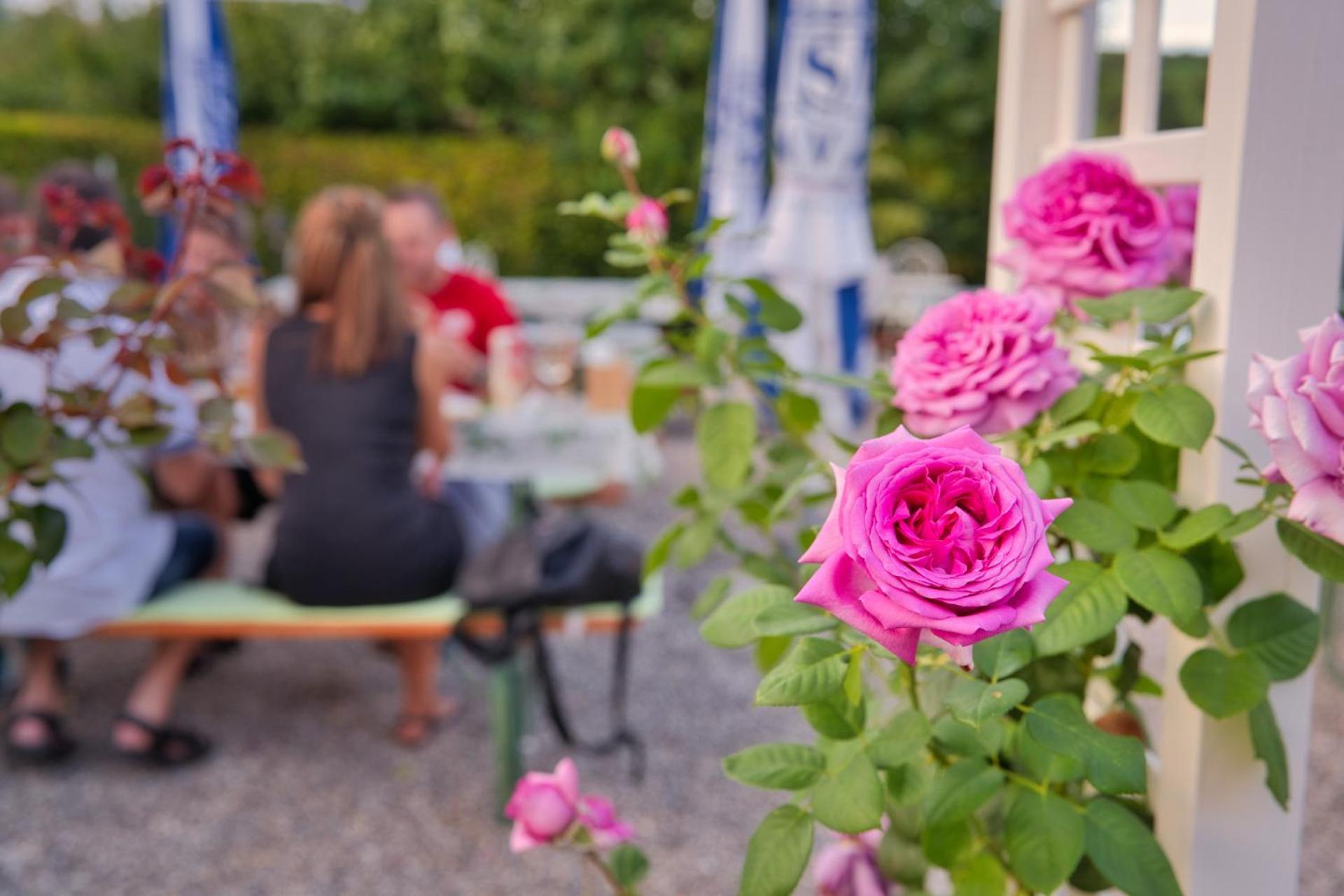 אאלן Gasthaus Zur Rose מראה חיצוני תמונה